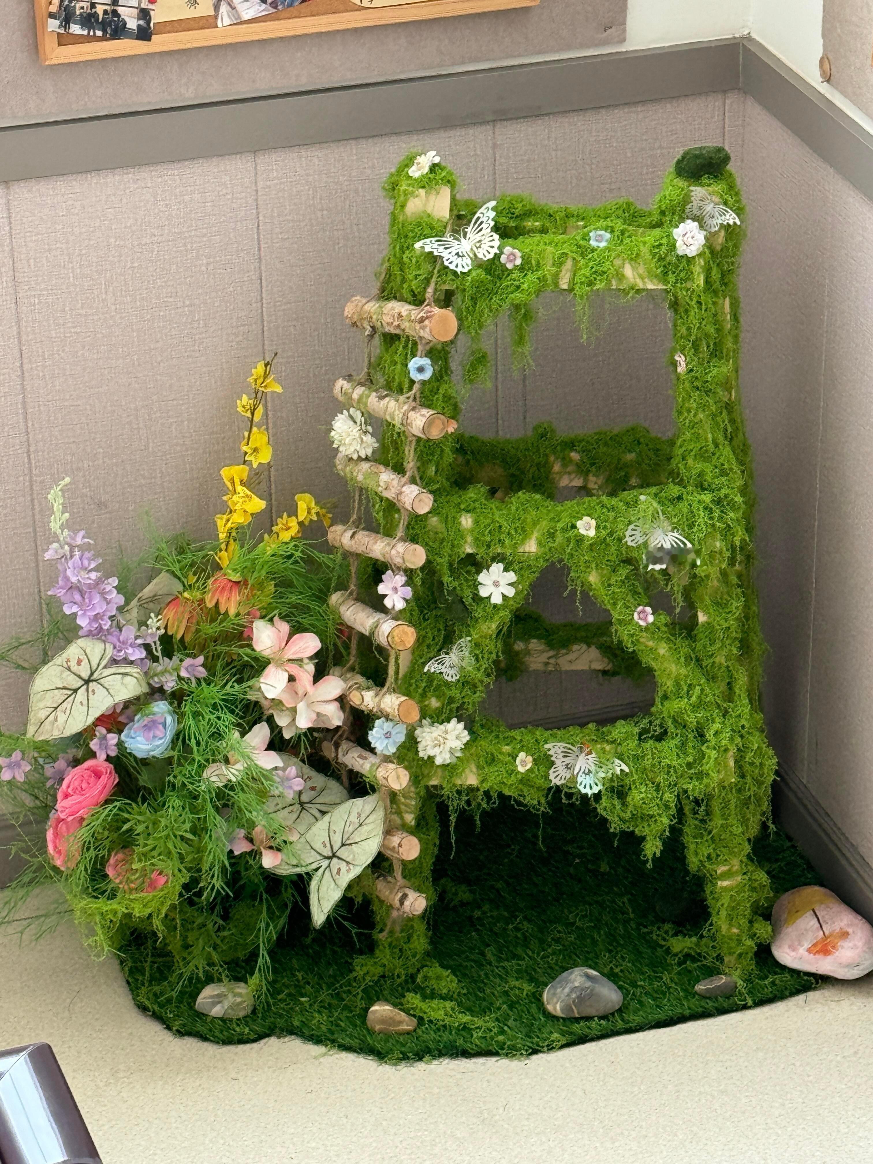 在家里的小角落造了一个春天 ​​​