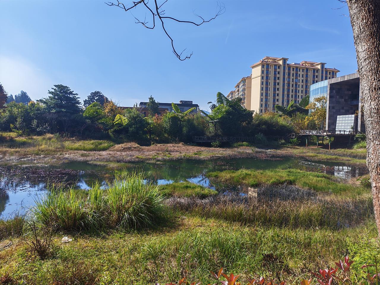 吃狗肉也是爱狗的另一种形式。
我不吃狗肉，但从不反对别人吃狗肉！