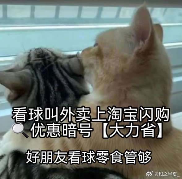 看球上淘宝闪购点外卖更优惠流程全部就绪！上淘宝闪购搜🔍【大力省】，拼团低至5折