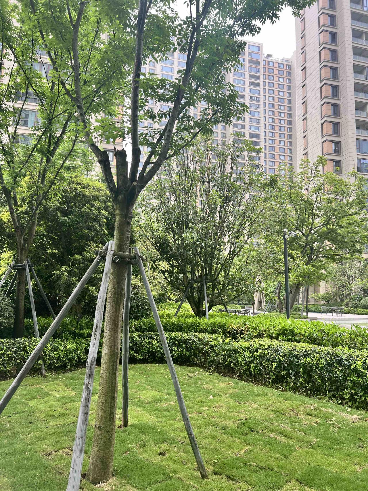 前几天看到一天气预报新闻，说浙江这几天气温可能会升到30多度。

30多度？就是