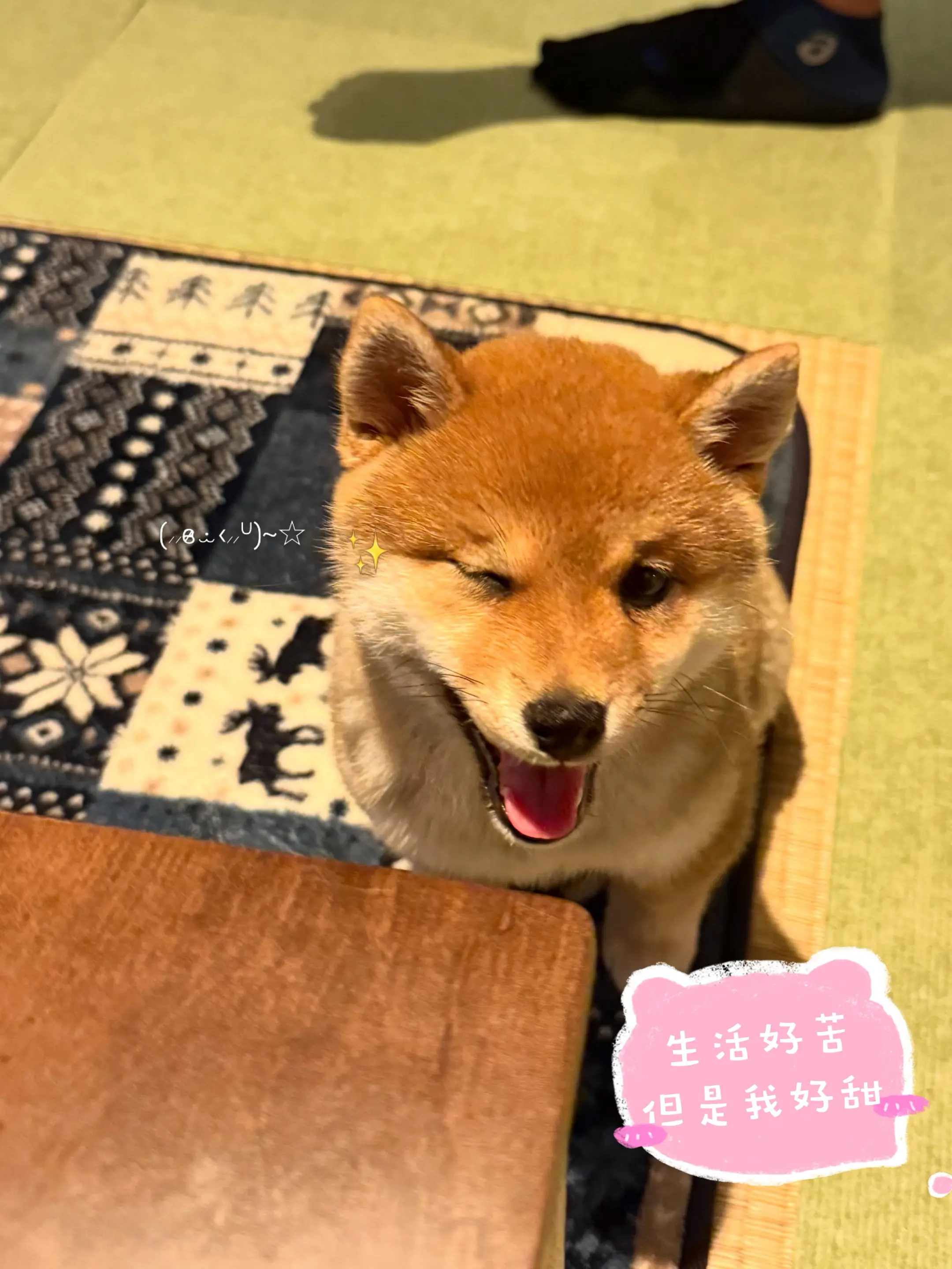 甜宝