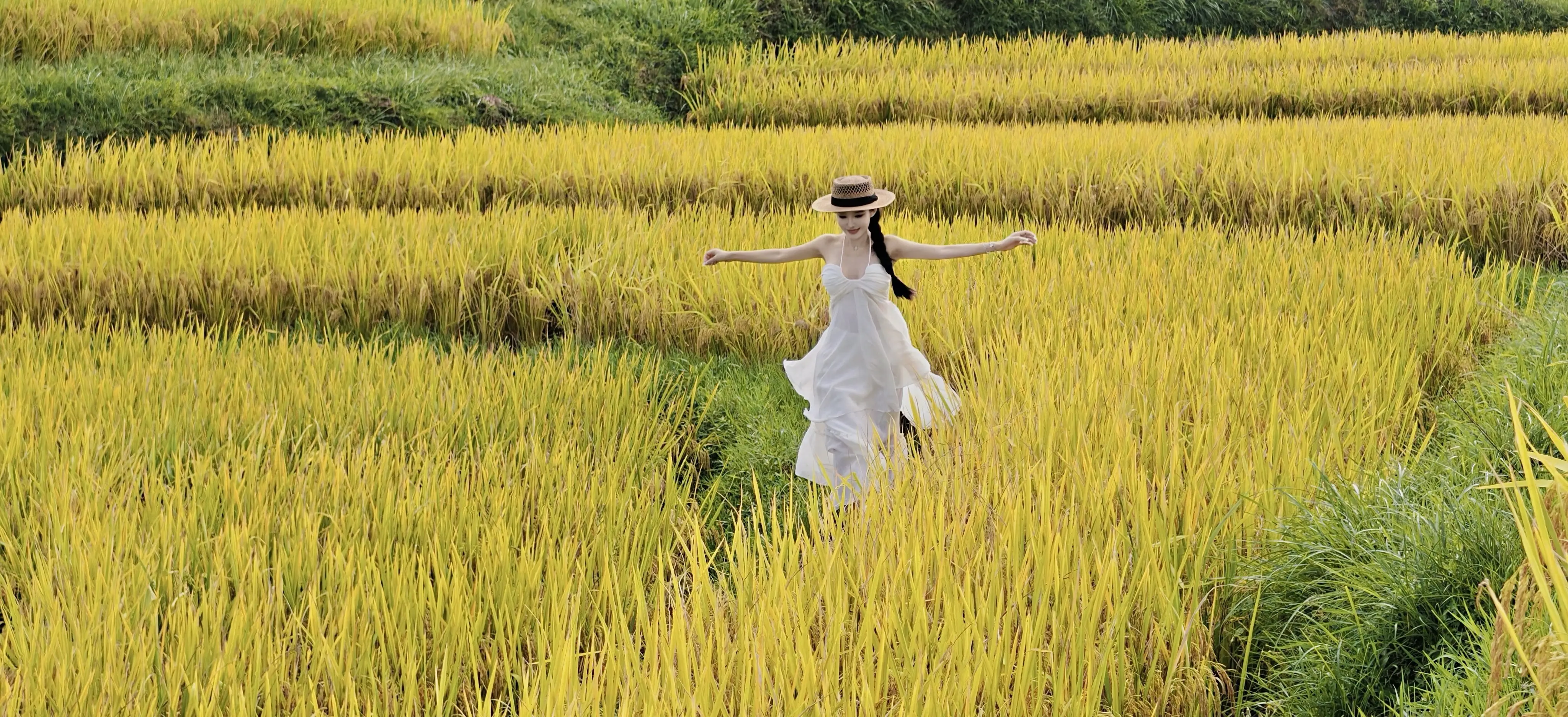 稻田的浪漫🌾。📷