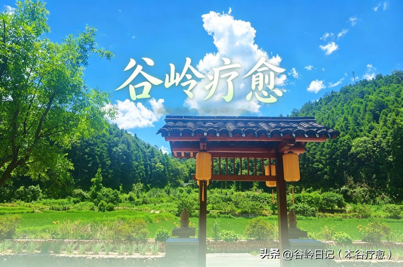 疗愈，从来都是自己的事情

“把钱给别人，指望别人来治好自己的失眠和焦虑，这不是