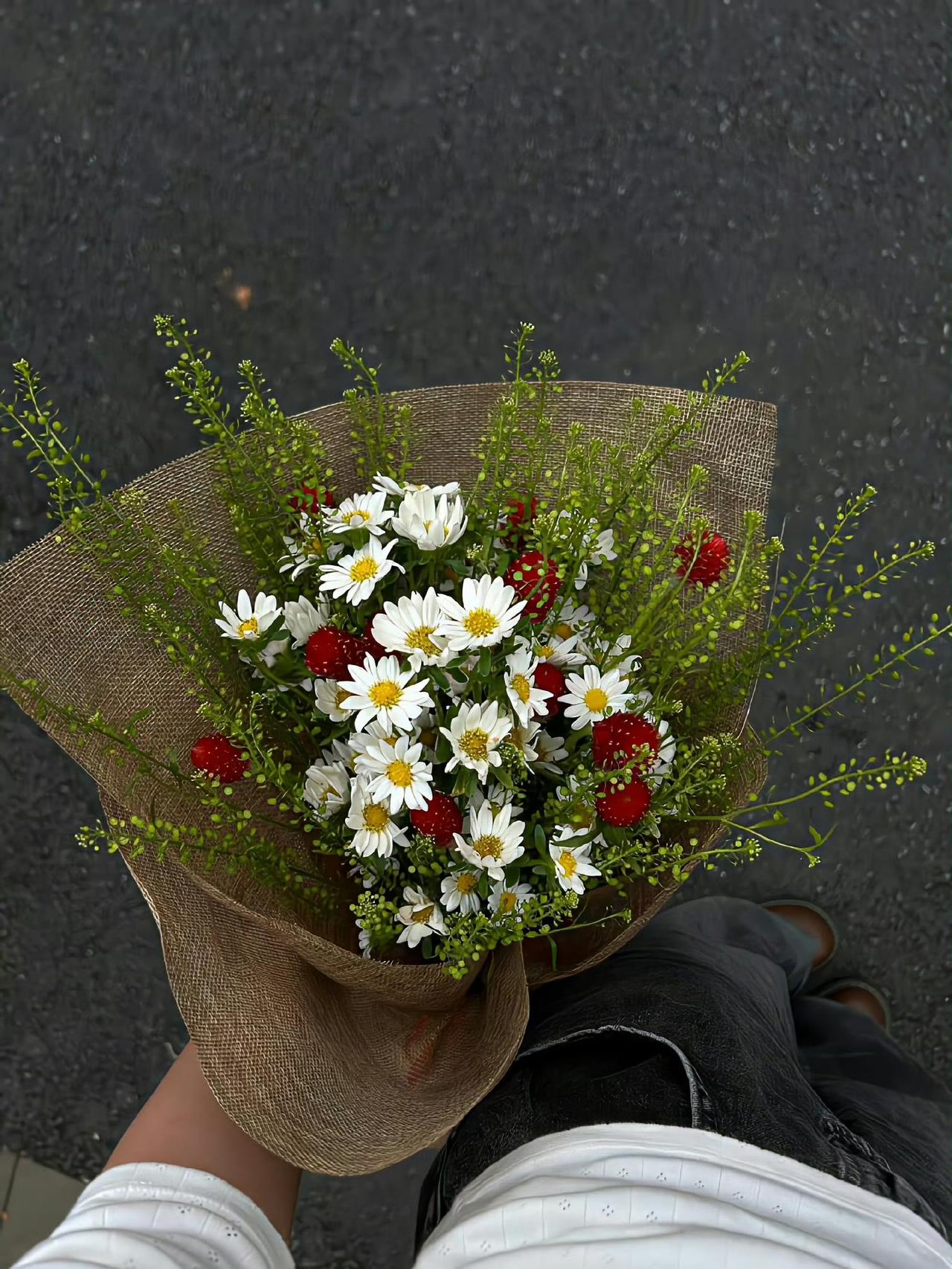 我的生命 是一万次的春和景明