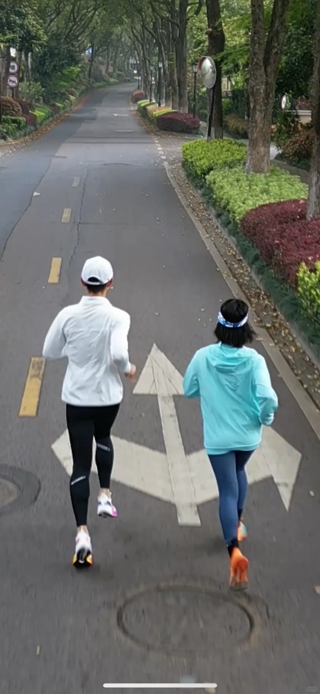与时舒卷，我心畅然