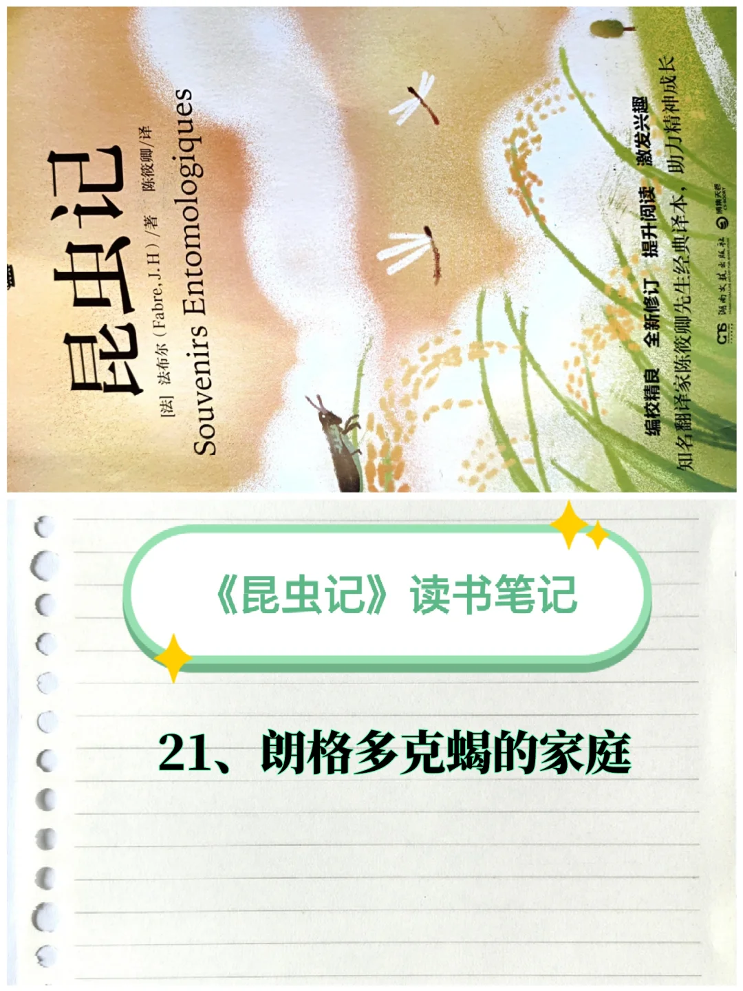 《昆虫记》笔记（21）：朗格多克蝎的家庭