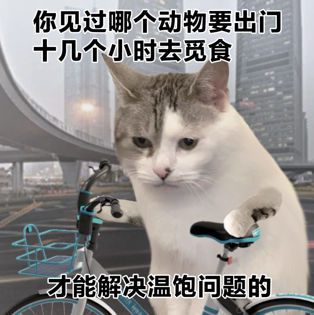 表情包 ｜ 班味有点呛人，该去一去啦！
