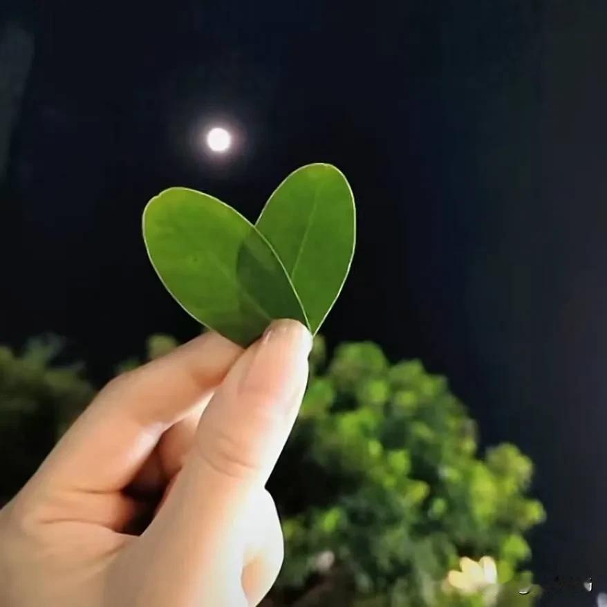 现在各行各业竞争都激烈，最应该懂得的职场道理是什么？大学毕业20年了，真情实感的
