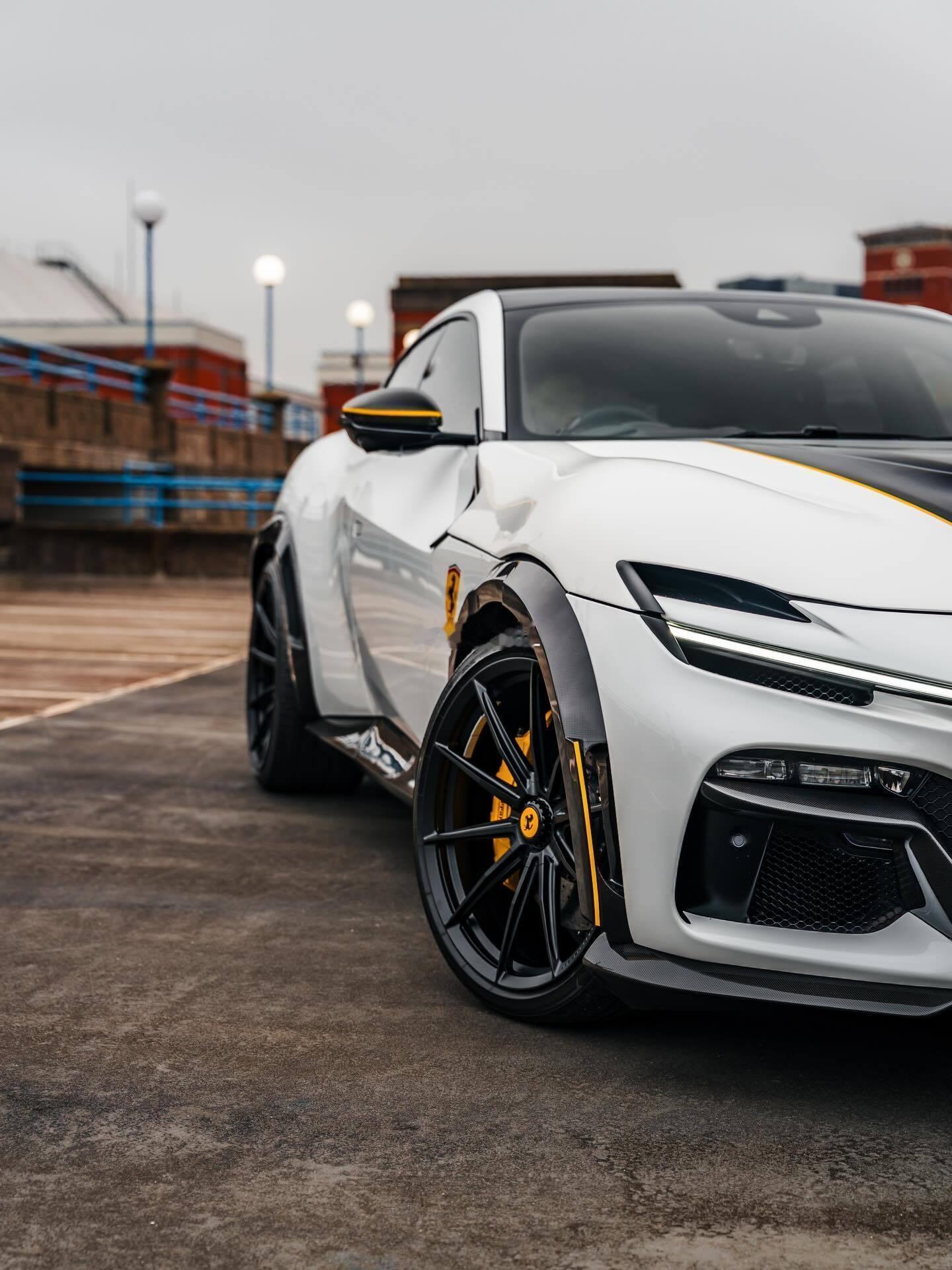 新年好，诺维泰克 法拉利 纯血统法拉利