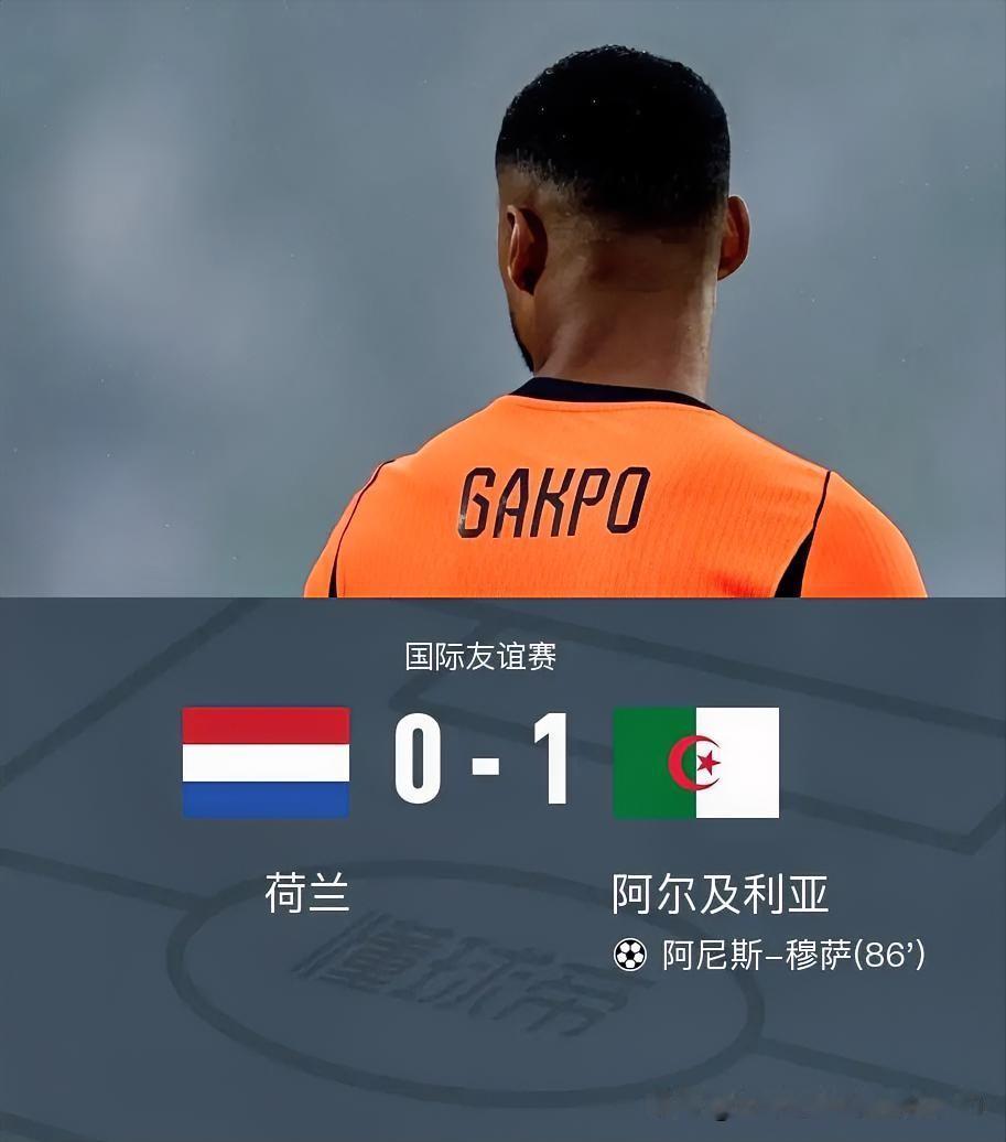 0-1，🇳🇱荷兰队终于顶不住压力，开始给自己降温了！

6月4日刚刚结束的一