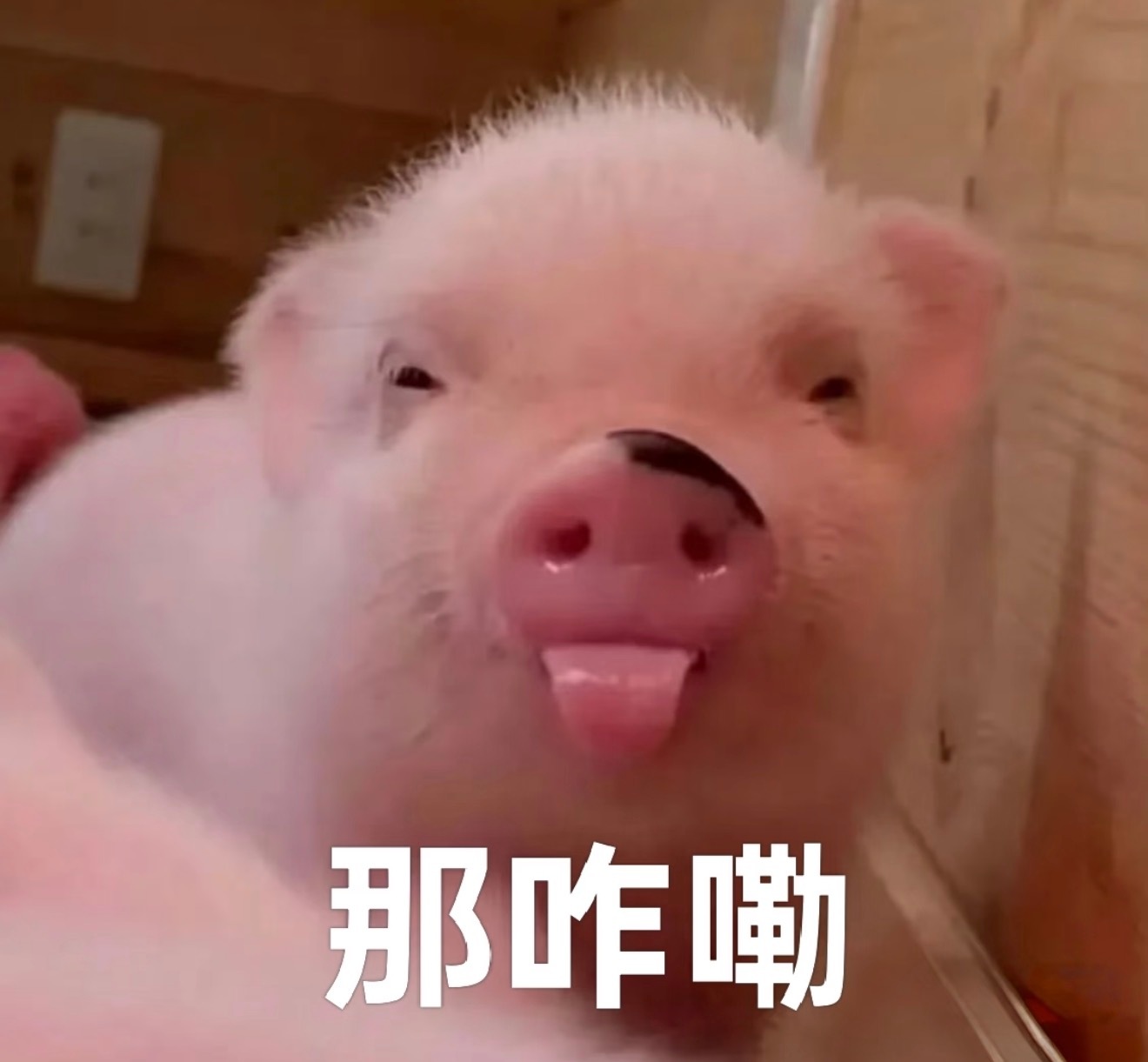 工作室的几头竹要是告黑肯定先把纯丝🐴她们的告了啊，一切以工作室为先 单依纯清者