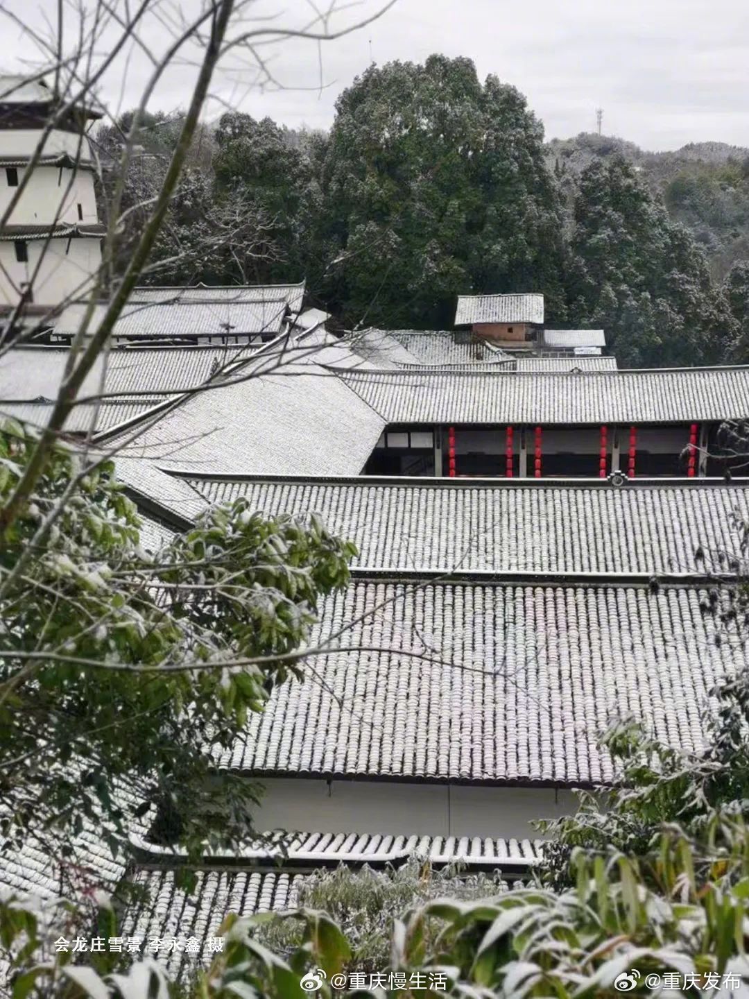 #江津四面山迎来初雪#【江津四面山，初雪姗姗来迟！】翻过深秋的山岭，迎来凛冬的华