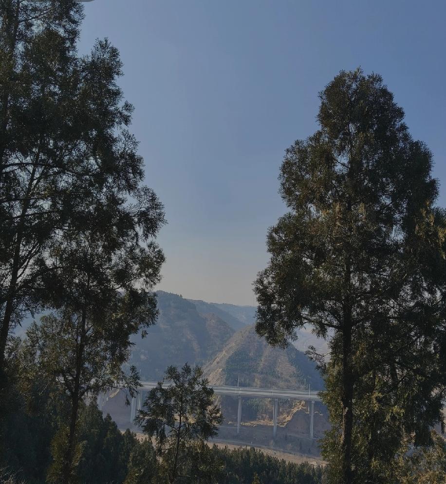 35岁离异带两女儿，还有心脏病，竟跟我36岁未婚的弟弟要10万彩礼，还直言没法再