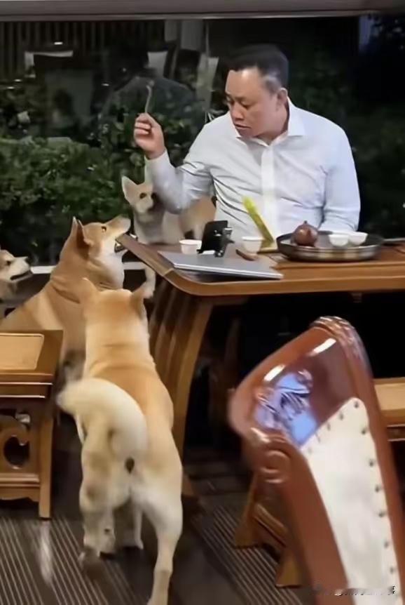 看照片
现在的黄光裕的状态
经过那场“灾难”之后
黄光裕仿佛看清了很多事情…
过