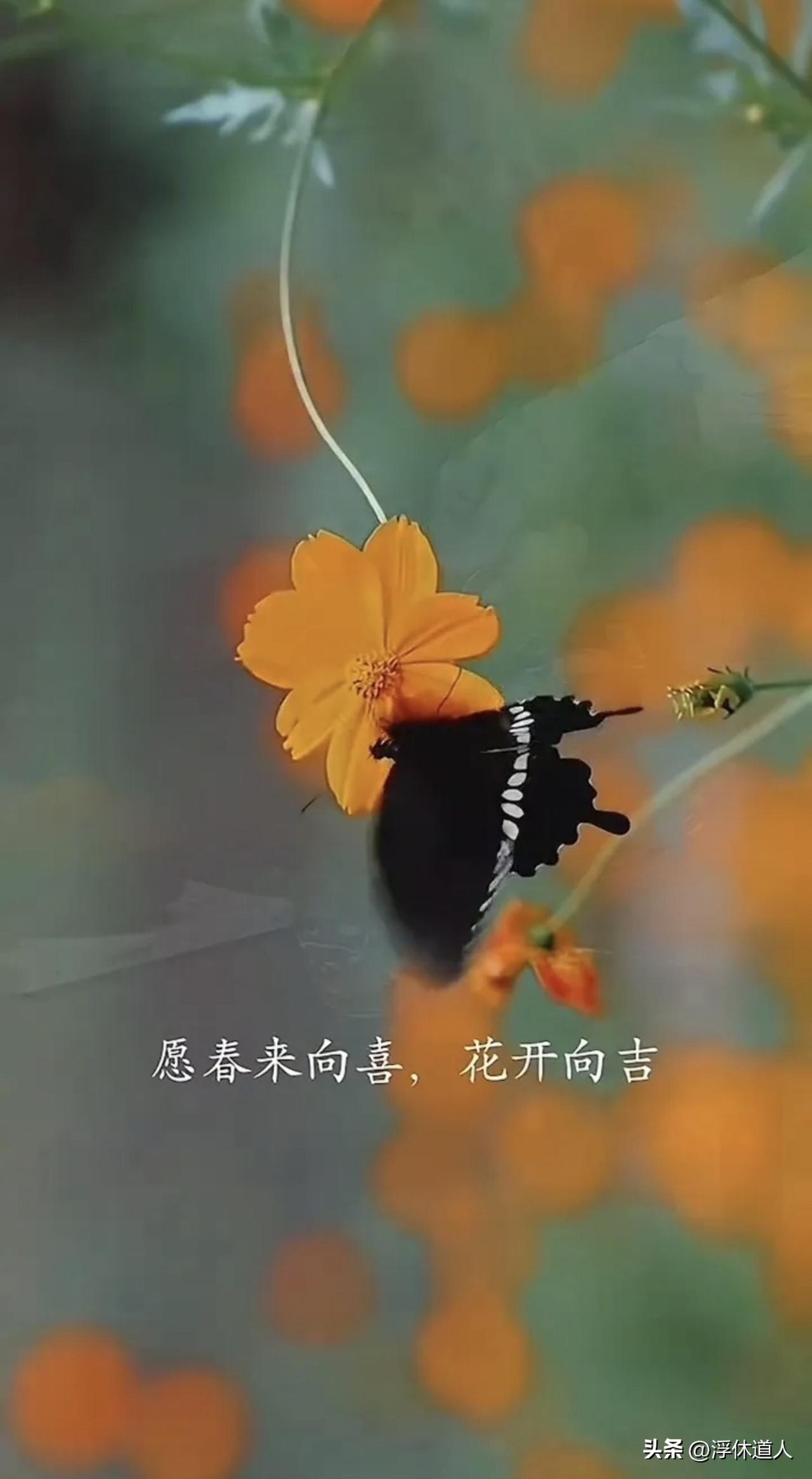 今天是二月初一。

农历二月，也被称为花朝。

·风有约，花不误，年年岁岁不相负