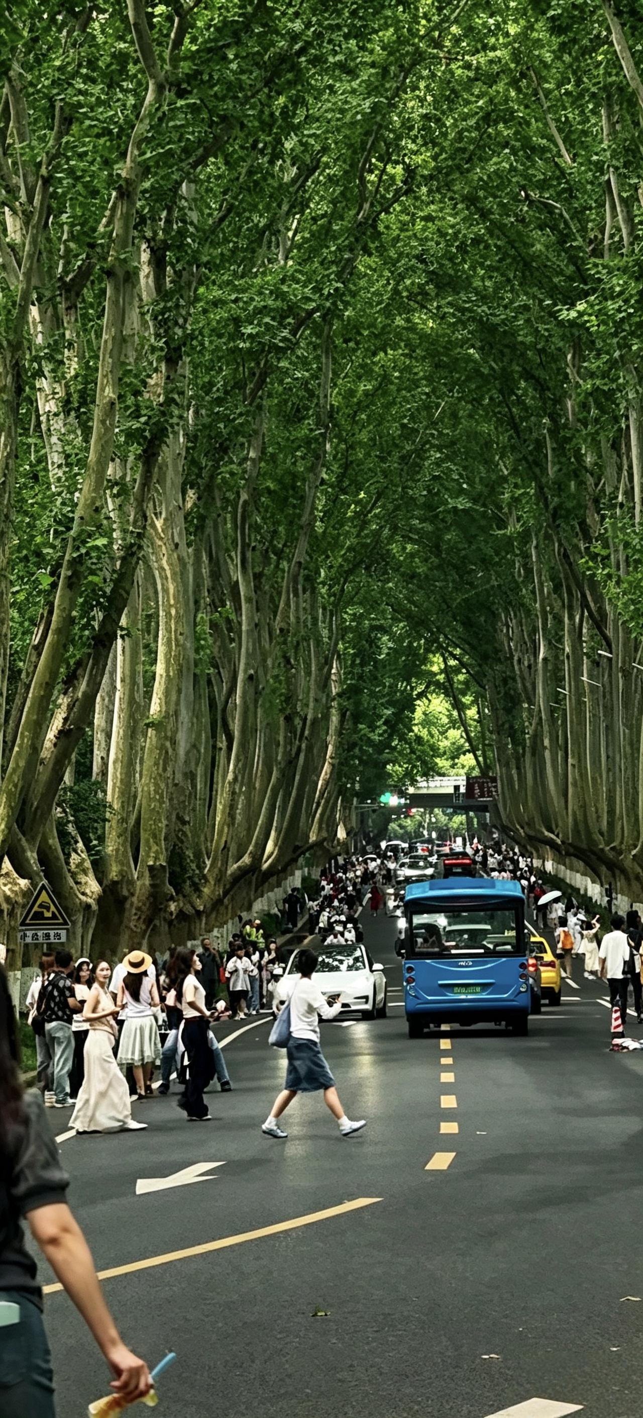 《8点50分，陵园路梧桐大道，距离禁行
只剩10分钟.....》
    9月3