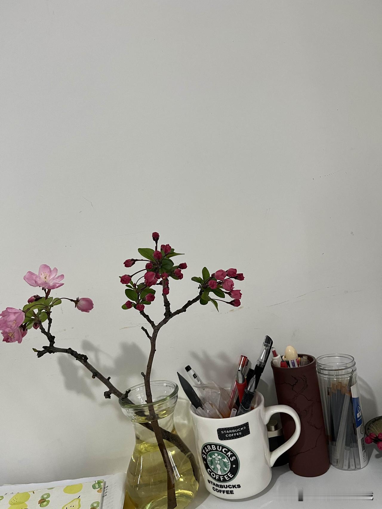 被两周岁的宝宝怼话。

在苏州大悦城吃过饭后，女儿就带着宝宝去坐了会小火车，然后