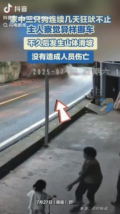 这下真说不清了！四川乐山，一女子被自家3只狗狗“吓”了一跳：它们接连几天对着她停