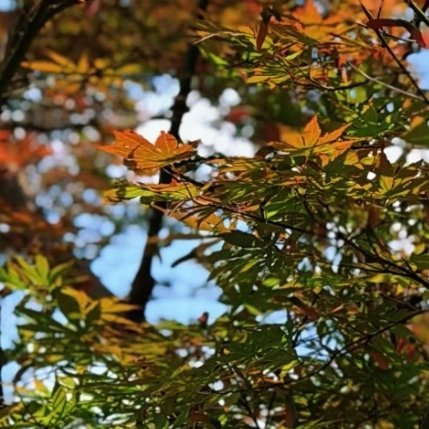 岁月缓缓稳步向前。人体每日代谢节奏规律运转，规律作息助力身心状态在线，从容处事，
