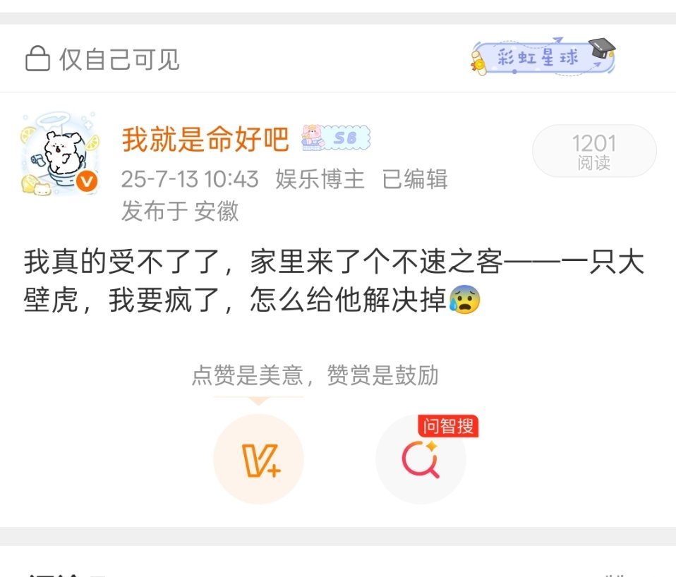 我不懂，家里为什么每到这个时候，就总有壁虎啊，我真受不了了，恶心死了找不着了，不