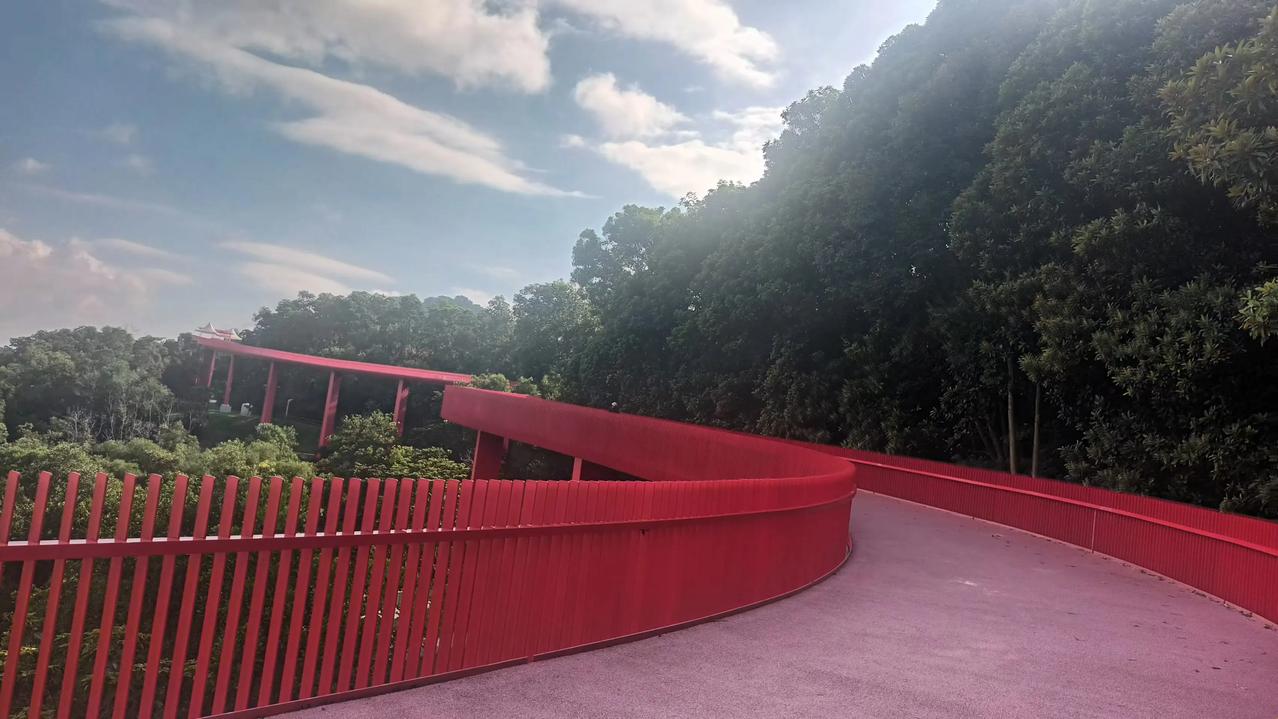 深圳光明区虹桥公园，偌大的公园占地面积4.03平方公里，园里蜿蜒穿梭在苍翠林海与