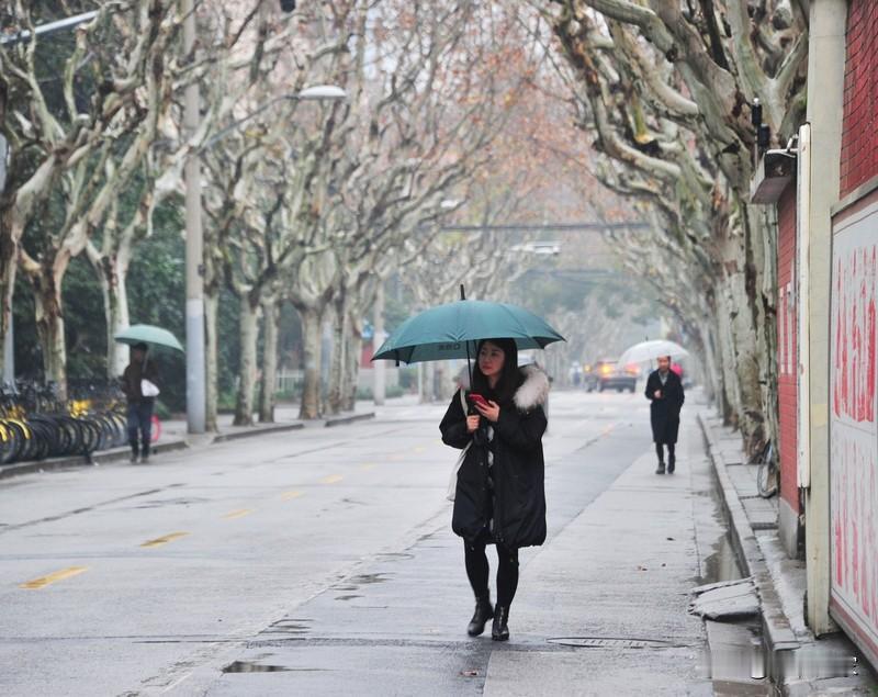 6亿阅读量的“东北人在南方崩溃：穿3条加绒裤仍冷”话题，到底藏着啥秘密？一位东北