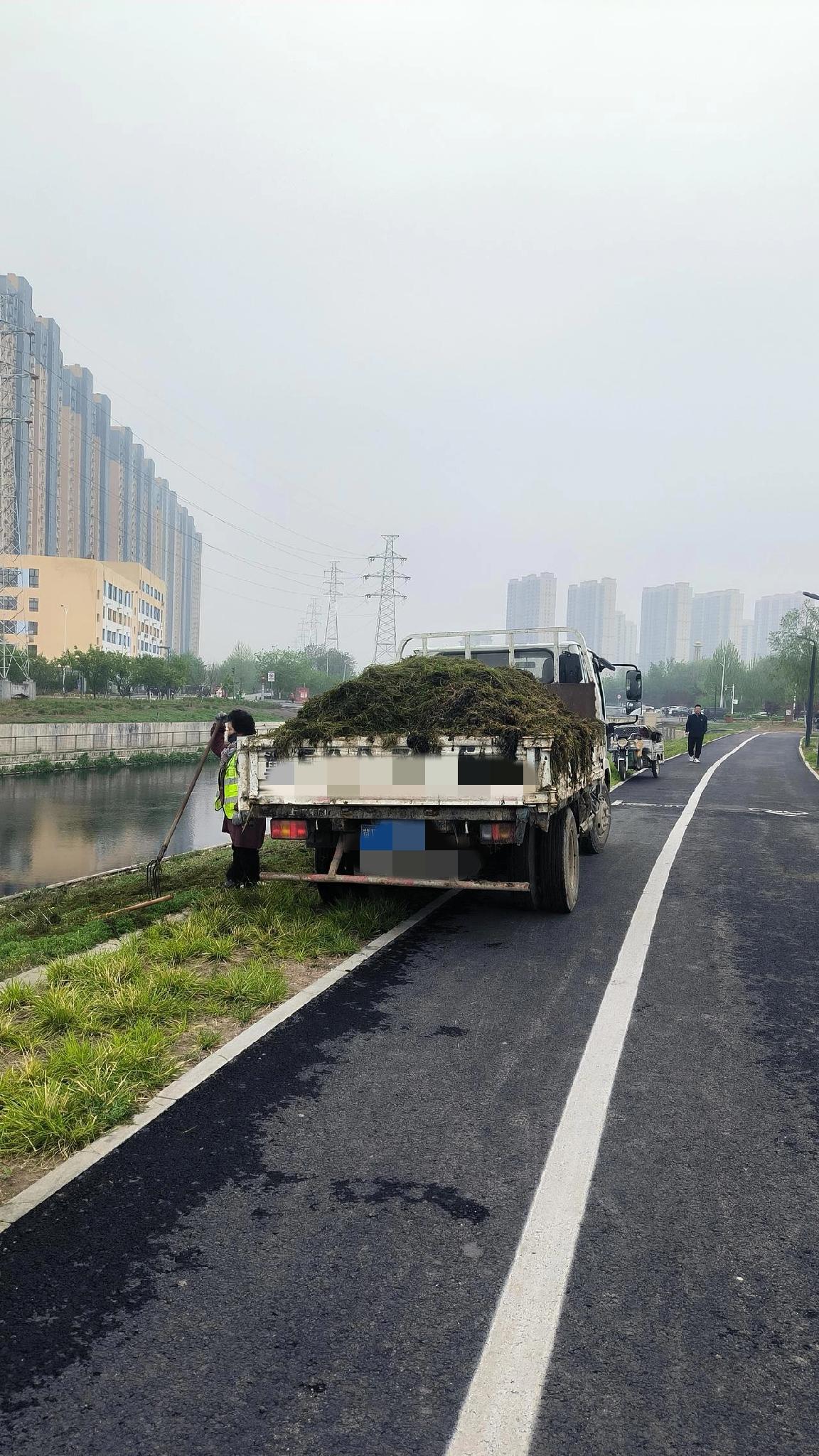 定格保定北堤路的温柔瞬间！

在黄花沟旁，偶遇一群清理水草的工人。正是他们日复一