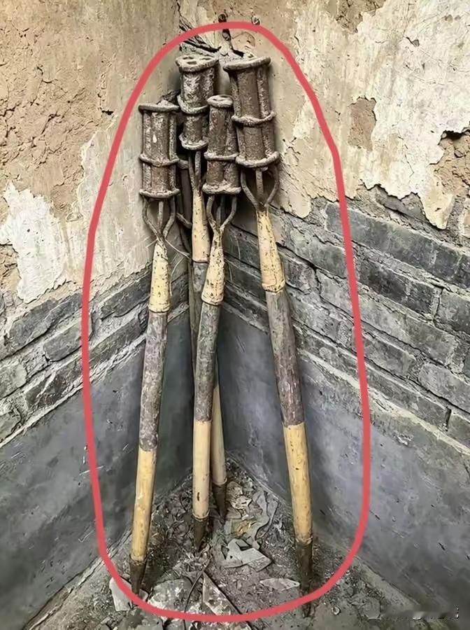 万能的网友们，这是什么，干什么用的？从来没见过！