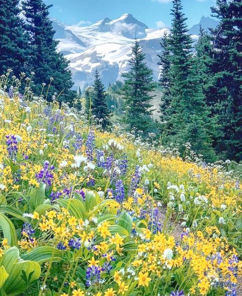 血泪教训！这9种借钱傻事 踩中一个就亏大了
 
千万别犯这九种借钱傻事。天下第一