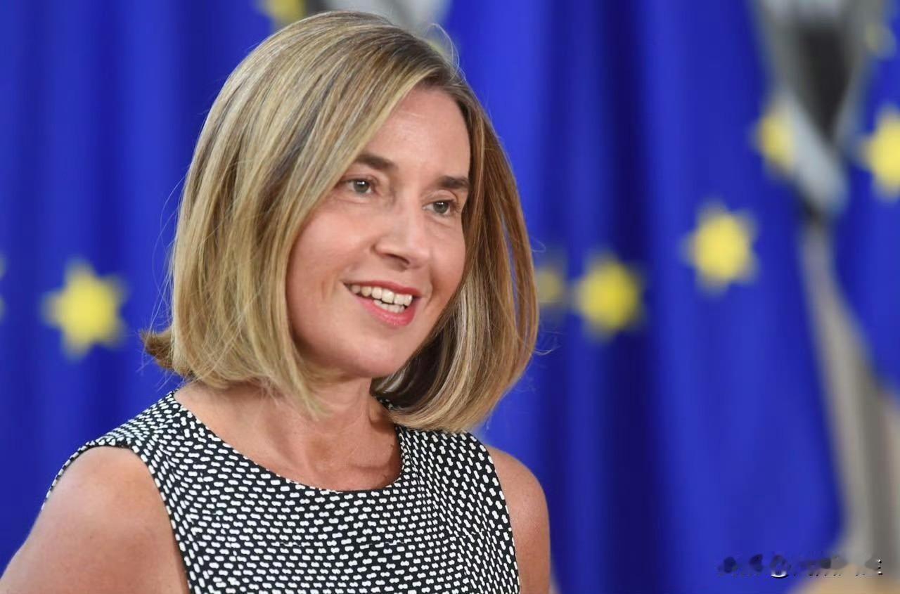 比利时警方以涉嫌欺诈罪拘留了欧盟前外交与安全政策高级代表费代丽卡·莫盖里尼。她于