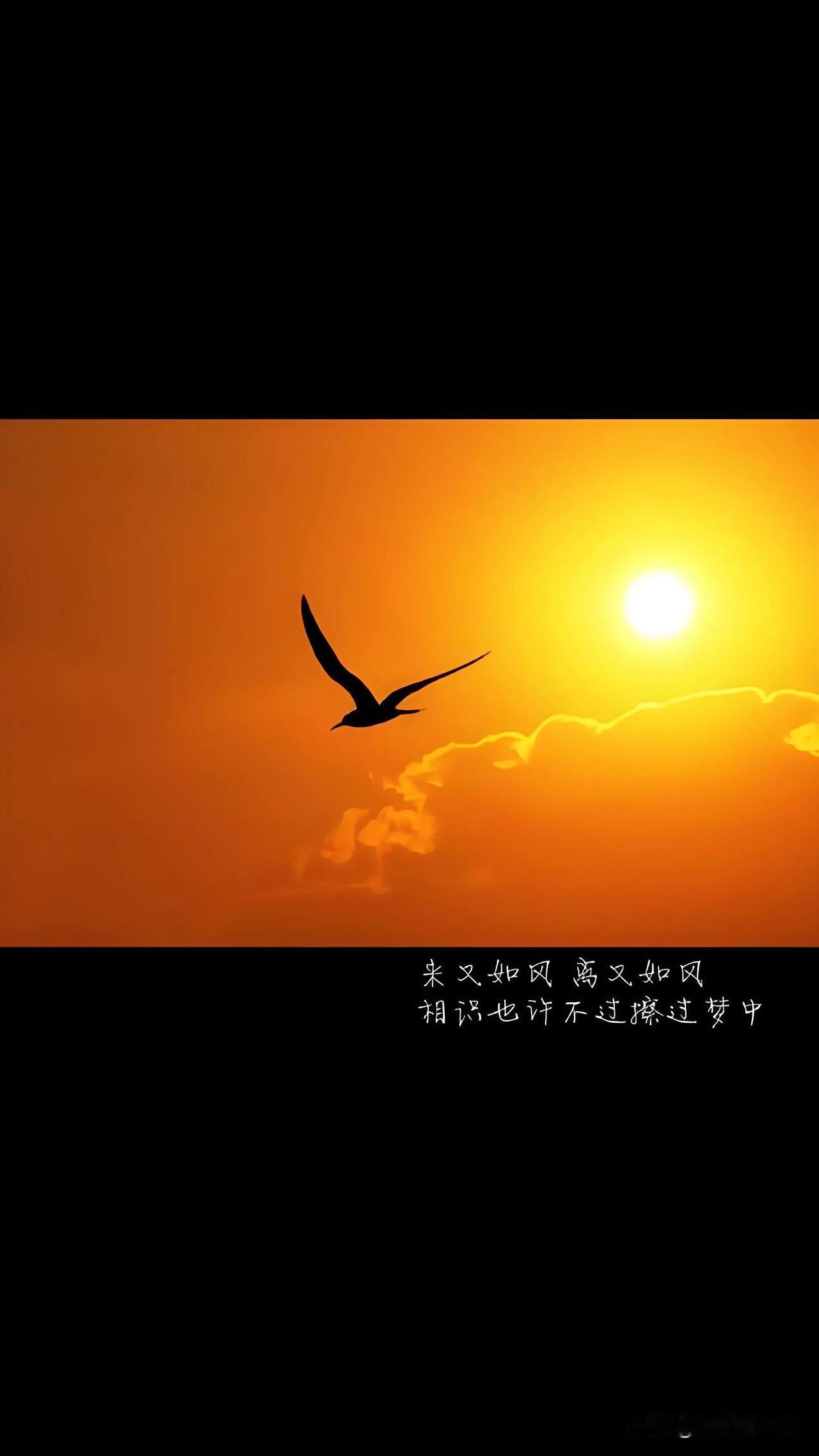 #寻找热爱表达的你#

惜时如金收获多，
生活充实心里乐。
专心致志为事业，
持