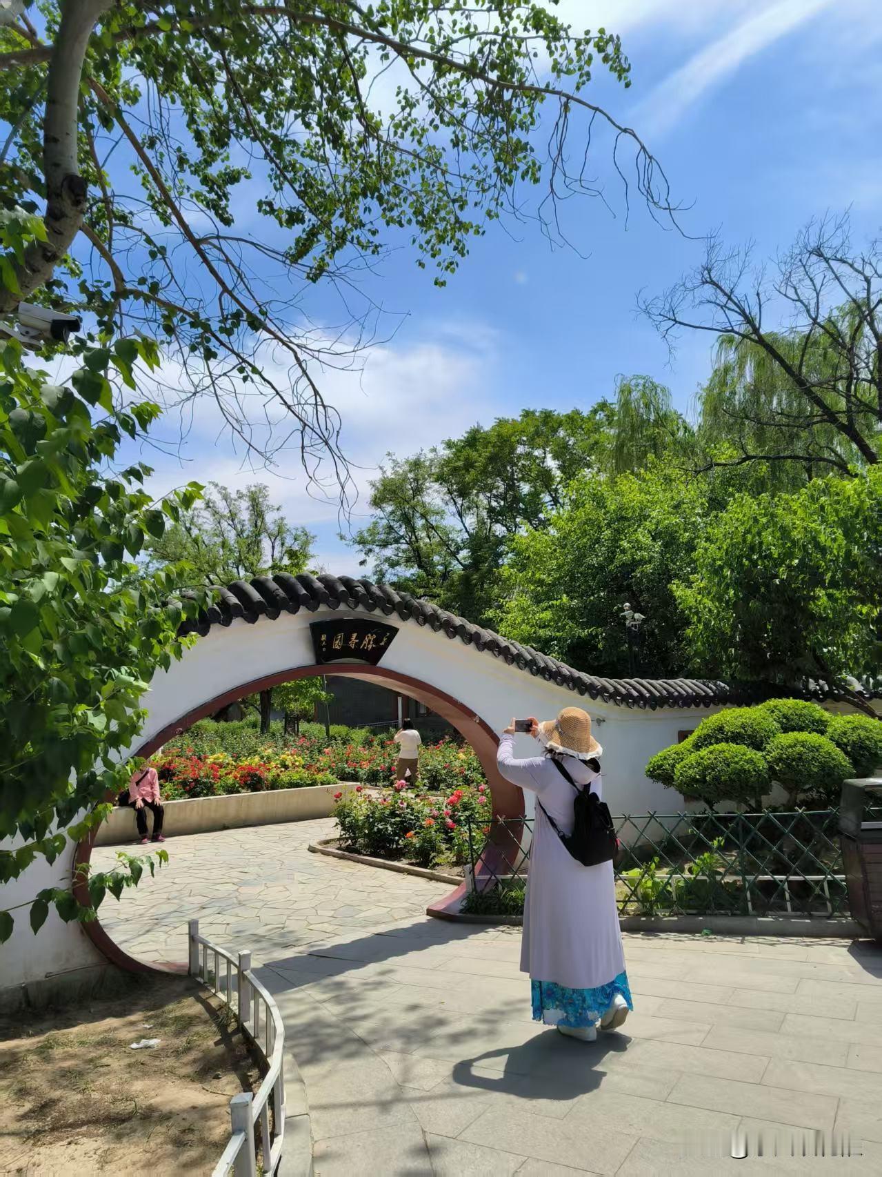 人民公园里的胜春园，月季满园盛开，品种多，颜色全，多姿多彩的花朵，招人喜欢。
园