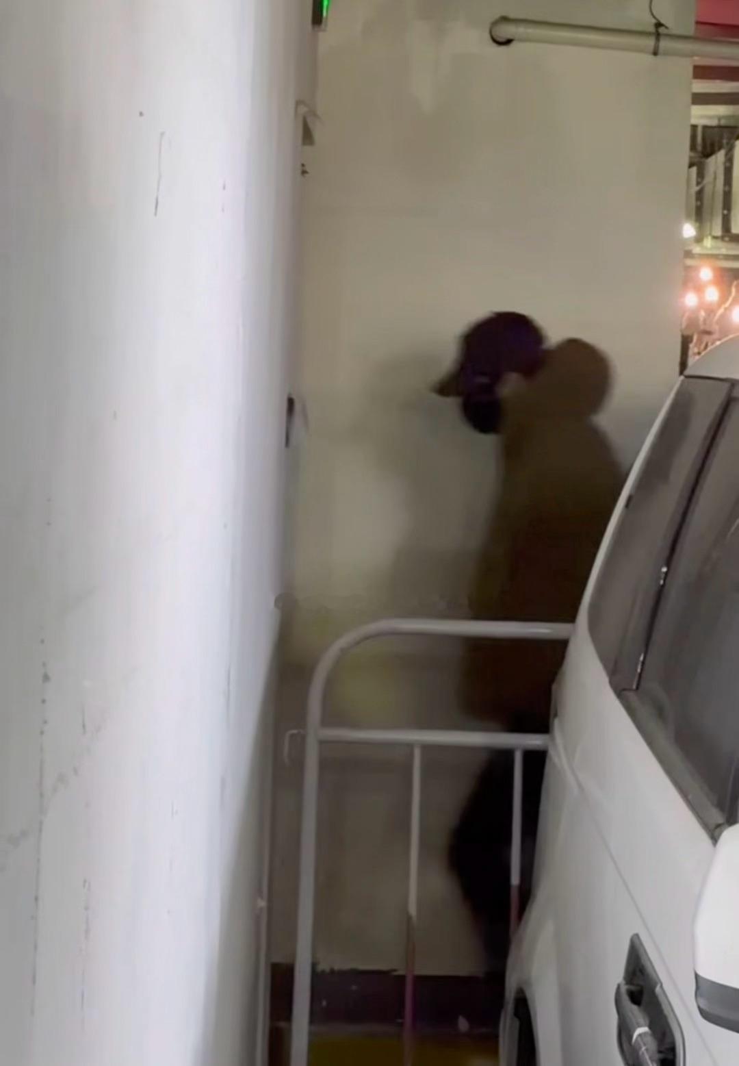 浩翔春晚录制顺利 