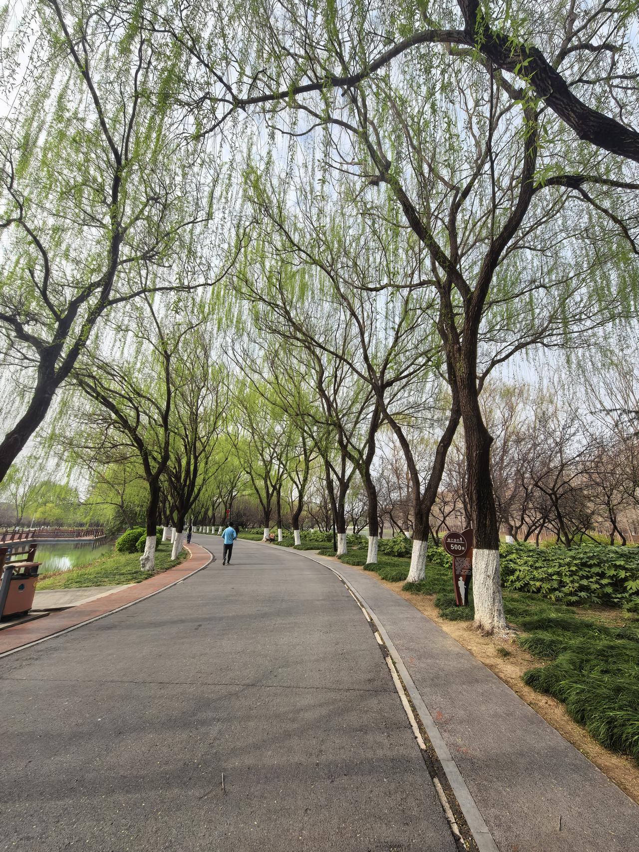 春天到了，公园里的花儿开始绽放，
香气扑鼻，诱人放浪不拘。😍