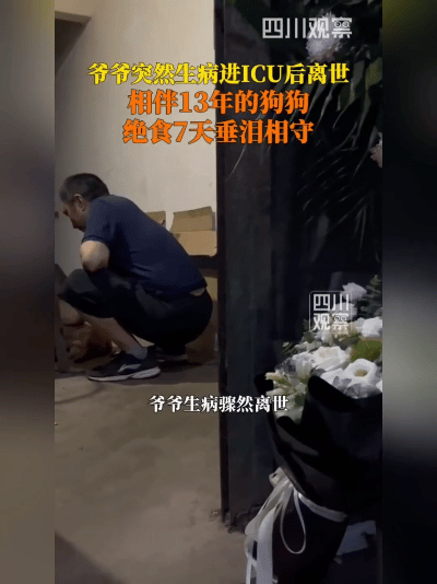 相伴十三年，狗狗守灵流泪绝食，看完瞬间破防
 
人和宠物久了真的是家人！四川雅安
