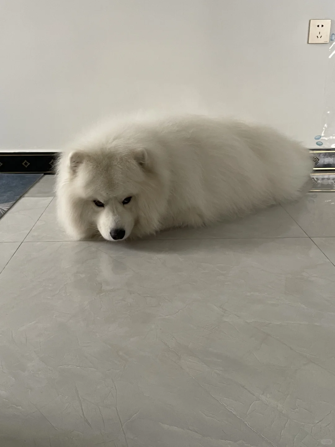 起猛了 开机有点慢