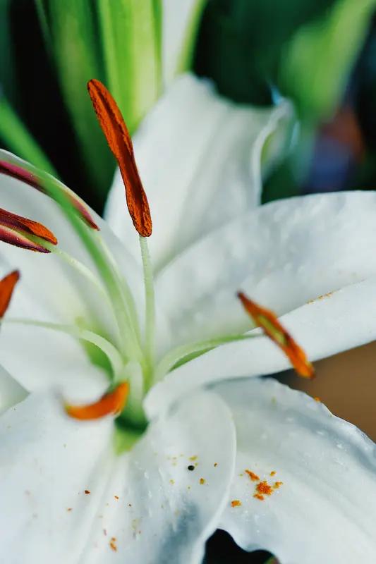 妇女节想让自己更快乐，方法可多了。可以给自己买束花，娇艳的花朵能瞬间点亮心情，像