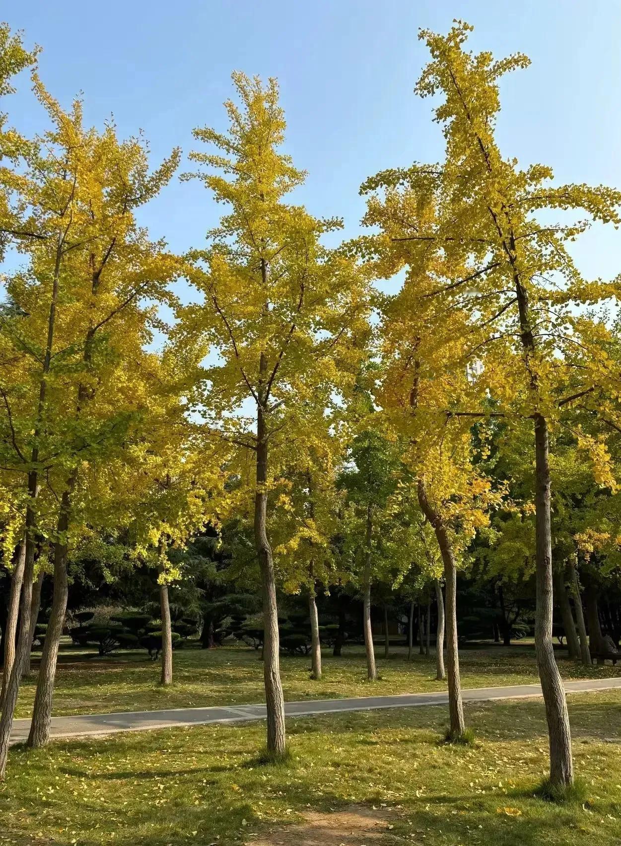 人前蹦跶得最厉害的人，往往没什么真本事，人前废话不多，眼神犀利的，往往是一个狠角