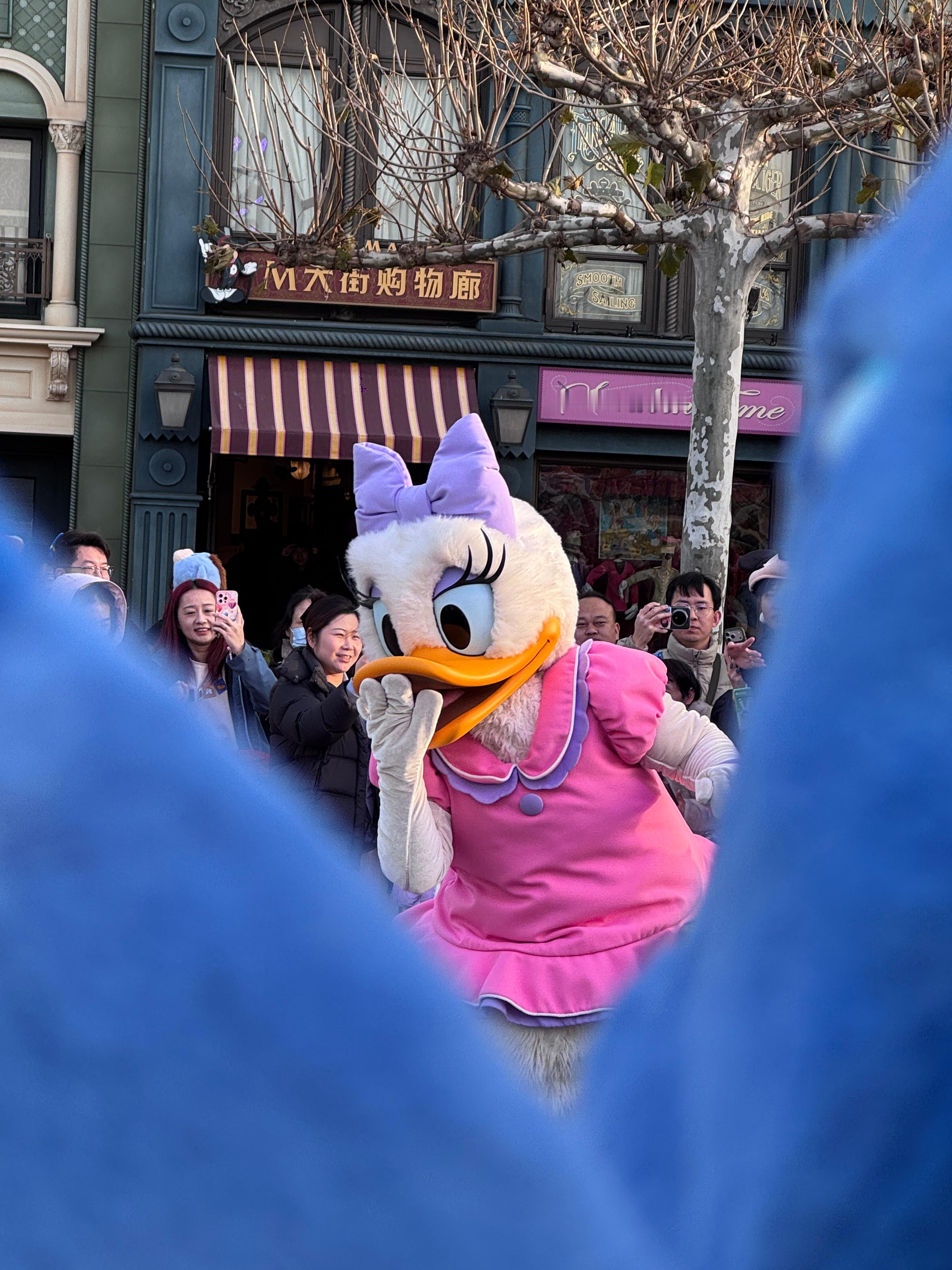 迪士尼的公主和小可爱们