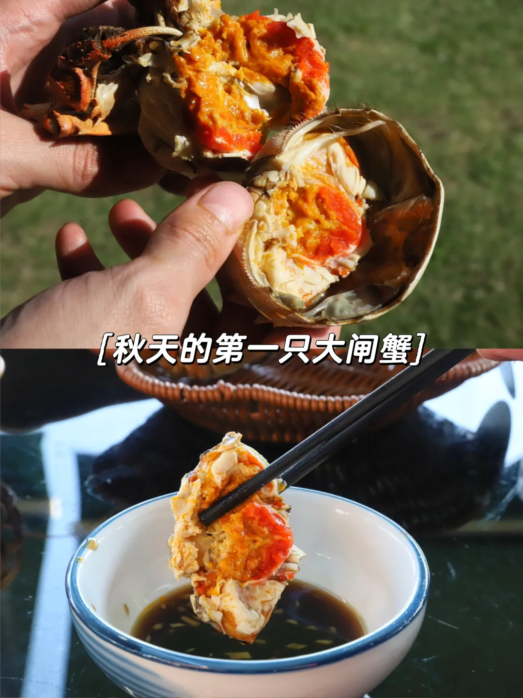 阳澄湖吃蟹🦀攻略，秋天的第一只大闸蟹！