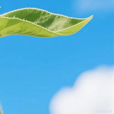 早安 天高云淡，微笑前行珍惜当下，活出自我别在琐事中打转静下心来，珍惜此刻过好属