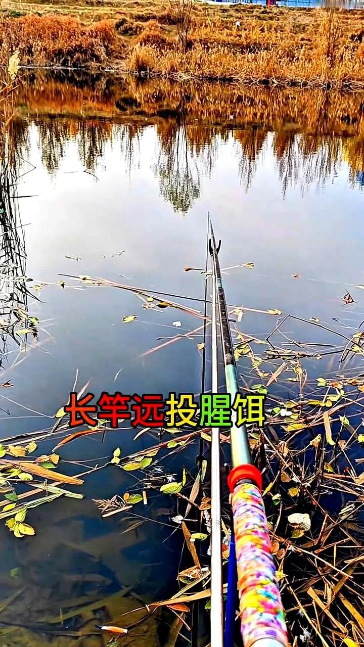 明天12月3号钓鱼鱼情预报。

寒潮南下后，不同区域鱼情变化明显，华东华中鱼躲深