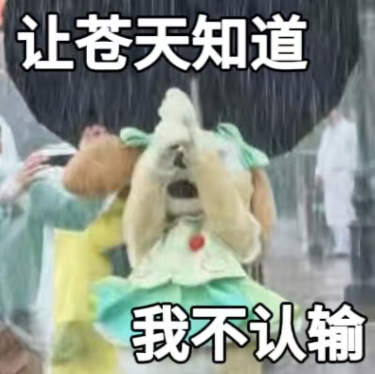 [无聊]票来[单身狗] ​​​