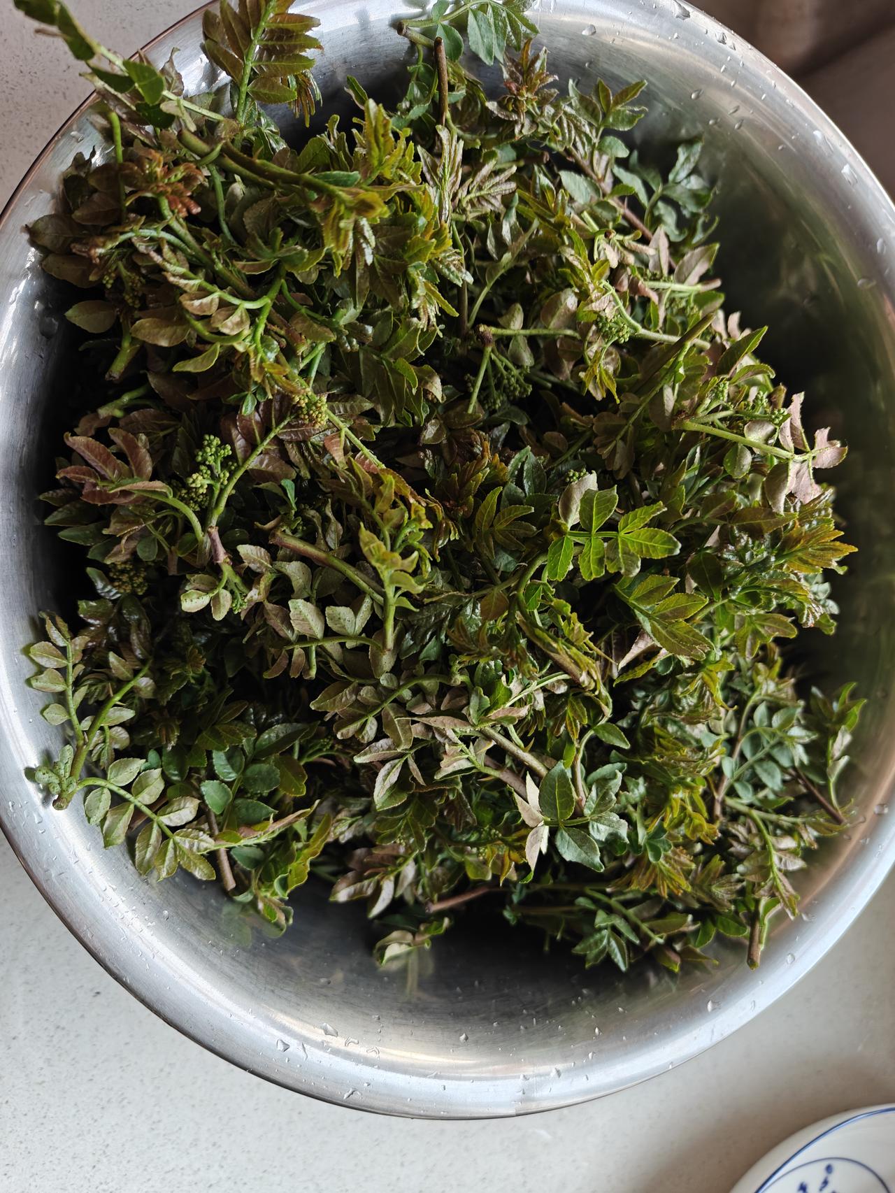 又到吃花椒叶的季节啦。每年的清明节前后几天正是摘花椒叶的好时节。早几天枝丫太小，