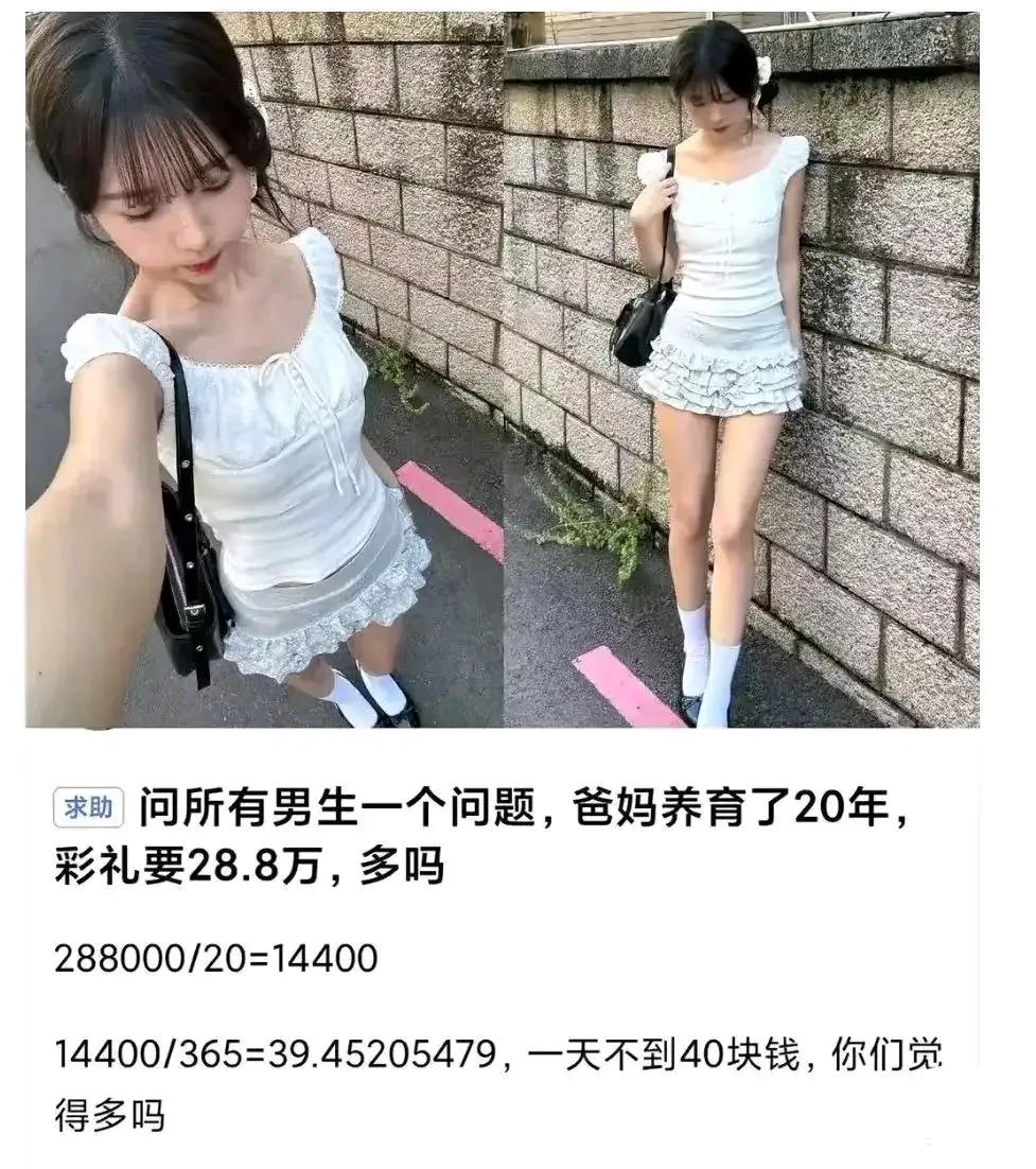 “父母养我20年，彩礼要28.8万，多吗？”一个女生的灵魂拷问，瞬间引爆全网争议