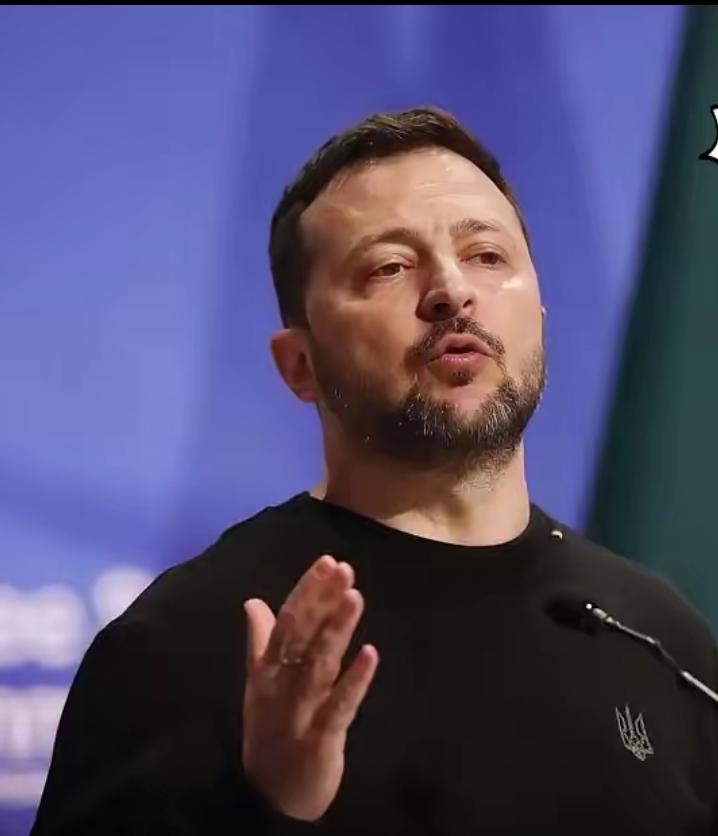 泽连斯基作为西方扶植的代理人，上台伊始就谋求加入北约。北约是什么组织，大家都很清