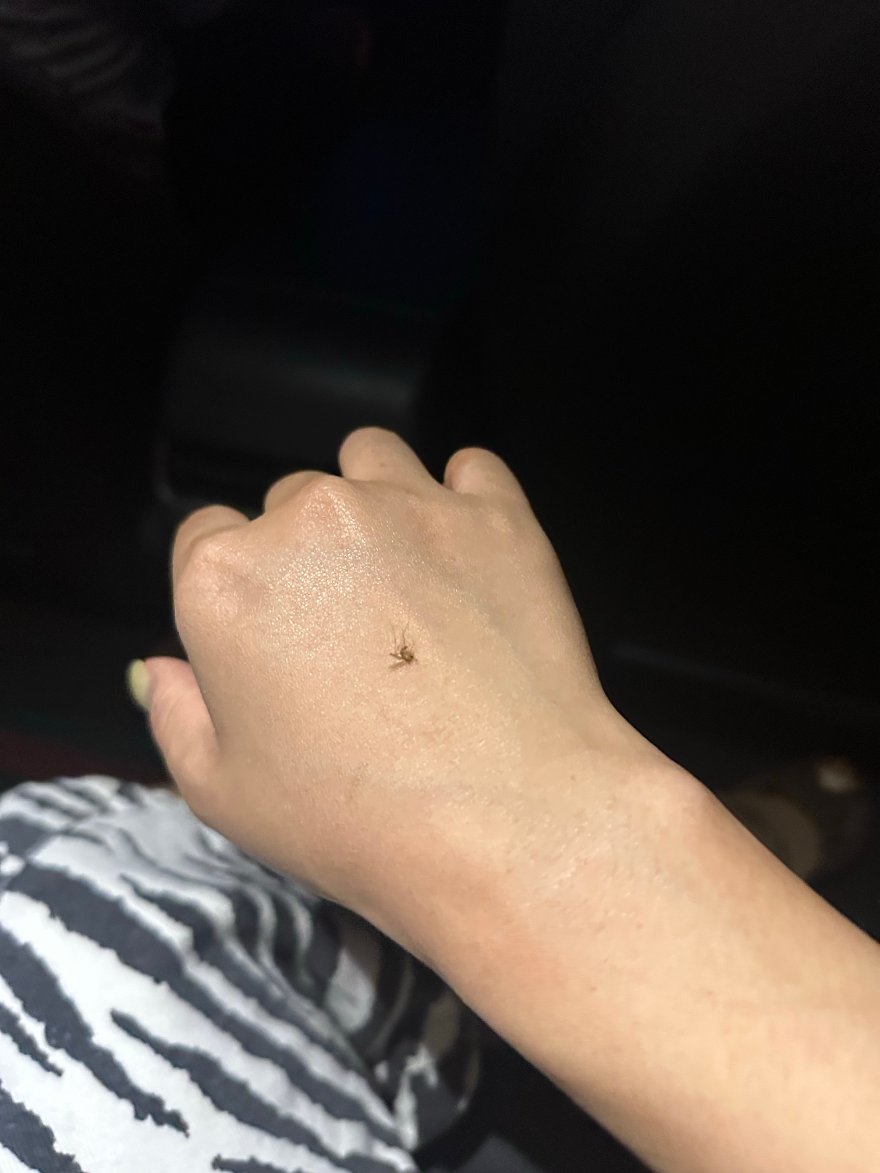 大连落地送了两份大礼，这不得给我瘦死！ 