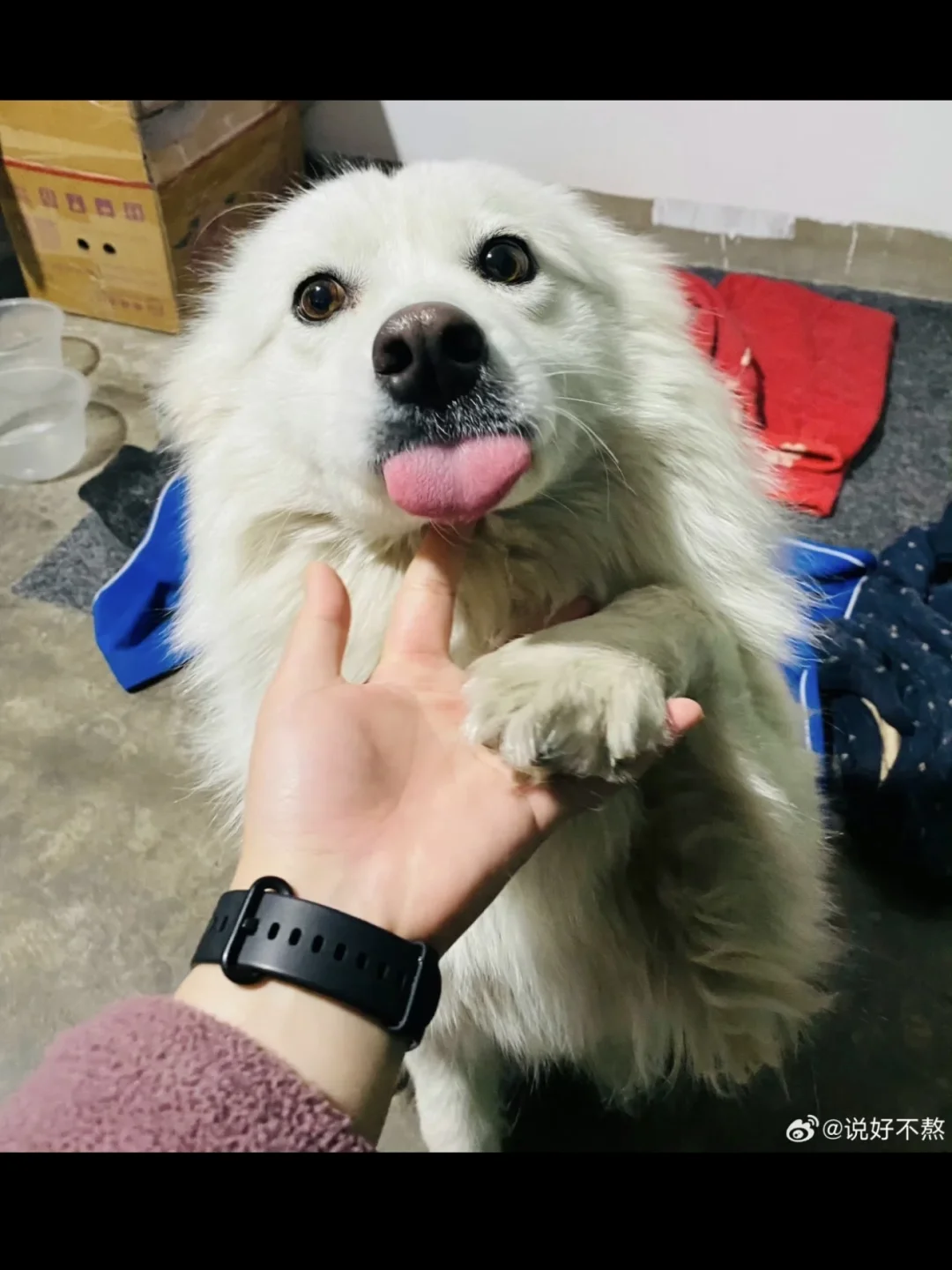 又一次