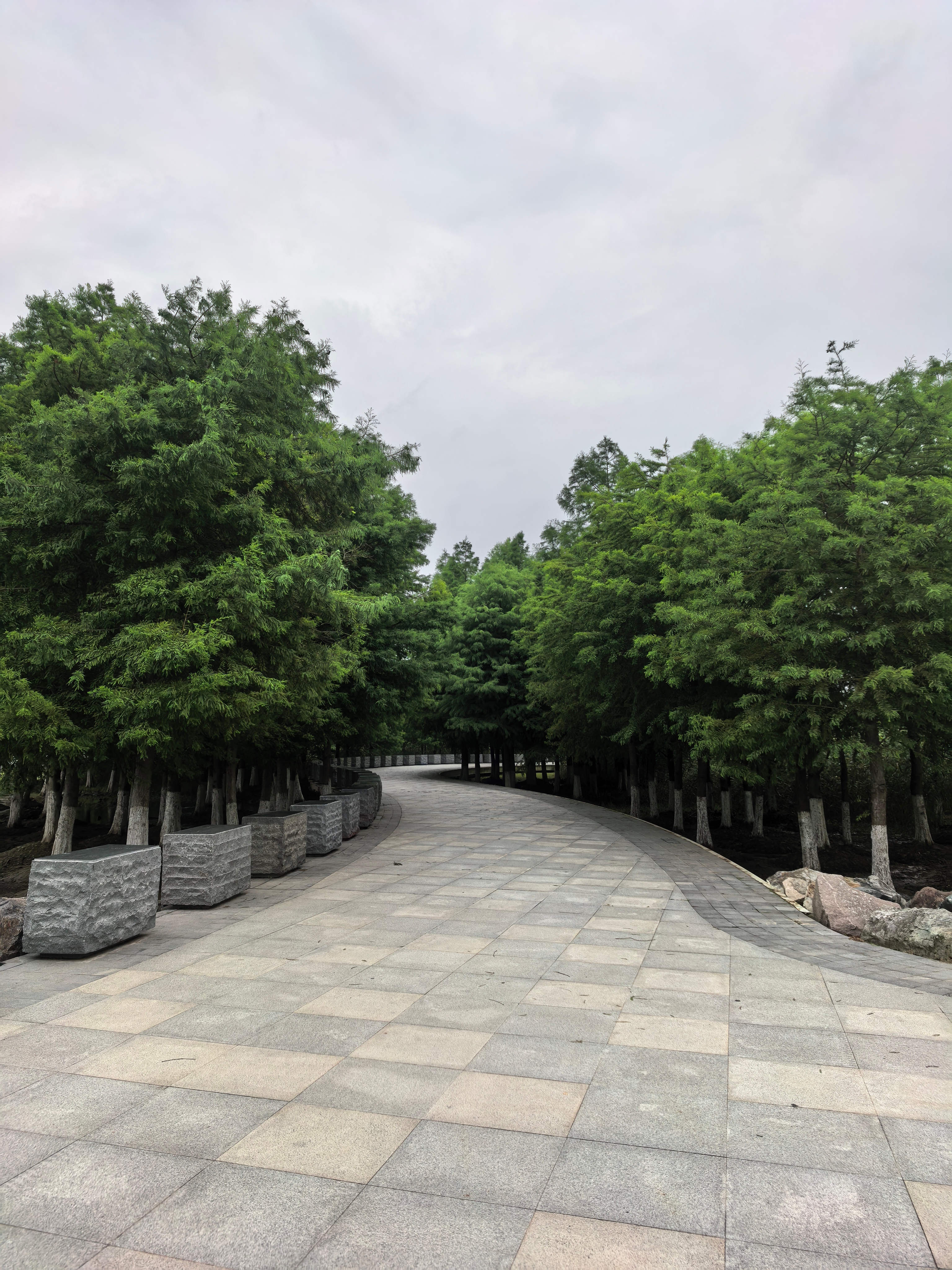 生活手记 对临港了解越多越喜欢，同在浦东却更像是另一座城市，与浦西老城的小而精相