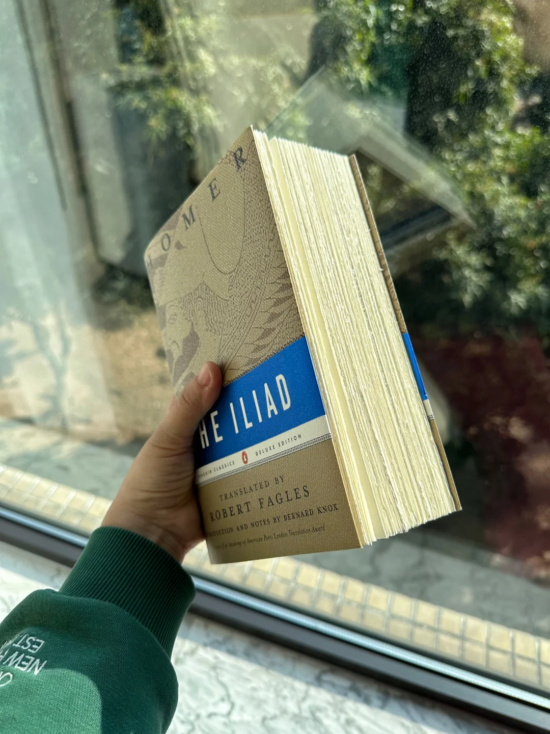 怎么读荷马史诗？deepseek给了我1个方案！